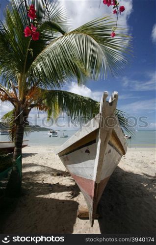 fishingboat at the beach in the town of Juangriego on the Isla Margarita in the caribbean sea of Venezuela.. SOUTH AMERICA VENEZUELA ISLA MARGATITA JUANGRIEGO BEACH