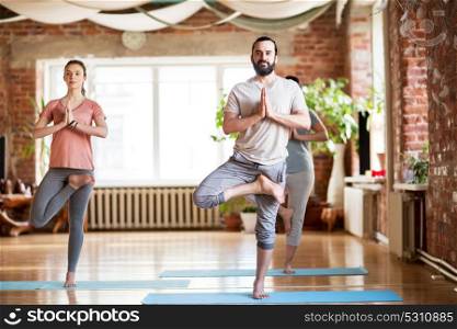 fitness, meditation and healthy lifestyle concept - group of people doing yoga in tree pose at studio. group of people doing yoga tree pose at studio