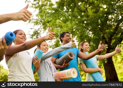 fitness, sport and healthy lifestyle concept - group of happy people with yoga mats at park. group of happy people with yoga mats at park