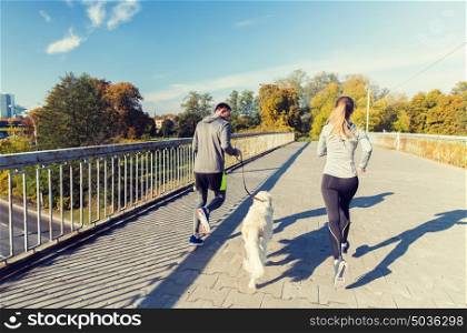 fitness, sport, people and jogging concept - close up of couple with dog running outdoors. close up of couple with dog running outdoors