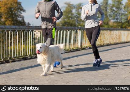 fitness, sport, people and jogging concept - close up of couple with dog running outdoors