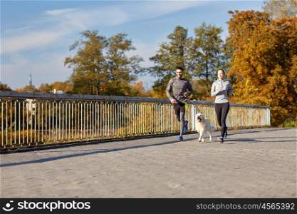 fitness, sport, people and lifestyle concept - happy couple with dog running outdoors