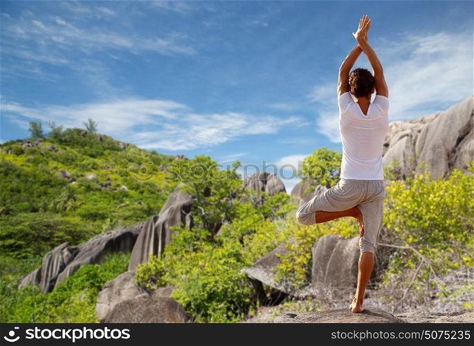 fitness, sport, people and recreation concept - young man making yoga tree pose on beach from back over natural background. young man making yoga tree pose outdoors
