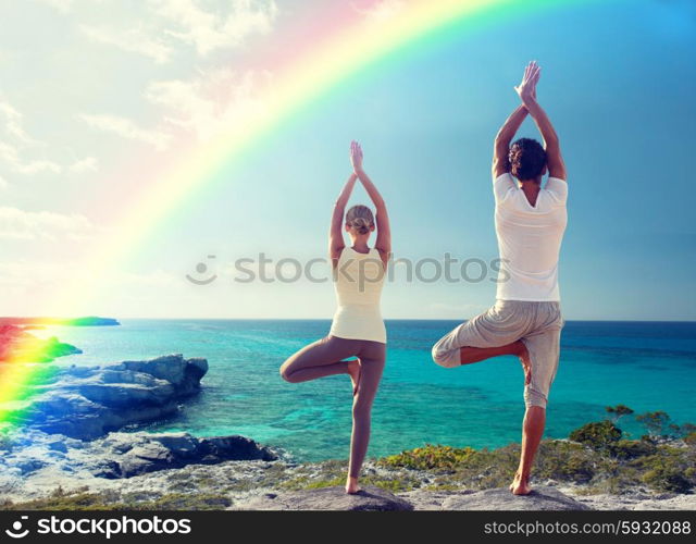 fitness, sport, people, yoga and lifestyle concept - happy couple meditating in tree pose on summer beach from back