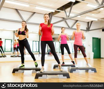 fitness, sport, training, gym and lifestyle concept - group of smiling female doing aerobics