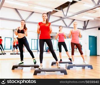 fitness, sport, training, gym and lifestyle concept - group of smiling female doing aerobics