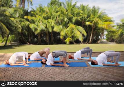 fitness, sport, yoga and healthy lifestyle concept - group of people making bridge pose over natural exotic background with palm trees. group of people making yoga exercises outdoors