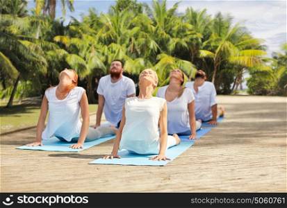 fitness, sport, yoga and healthy lifestyle concept - group of people making cobra pose over natural exotic background with palm trees. group of people making yoga exercises outdoors