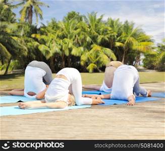 fitness, sport, yoga and healthy lifestyle concept - group of people making ear pressure pose over natural exotic background with palm trees. group of people making yoga exercises outdoors