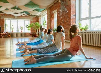 fitness, yoga and healthy lifestyle concept - group of people doing cobra pose on mats at studio. group of people doing yoga cobra pose at studio