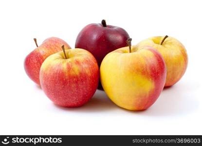 Five apples of different breeds isolated on the white background