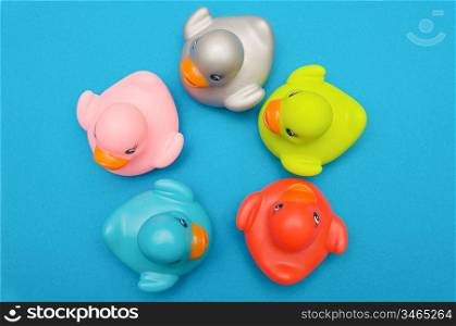 Five ducks plastic multi-colored watched from above