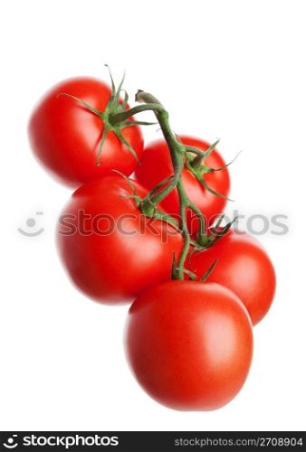 Five organically-grown tomatoes on the vine. Shot on white background.