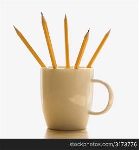 Five pencils in a coffee cup with pointed ends up.