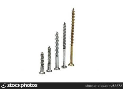 Five screws of different size on a light background