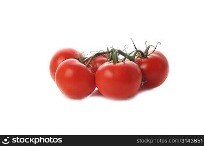 five tomato twig isolated on white