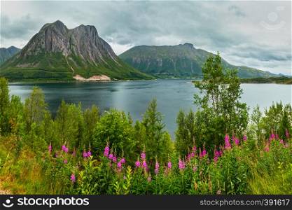 Fjord summer cloudy view with blossoming wild pink flowers in front, Norway. Panorama.