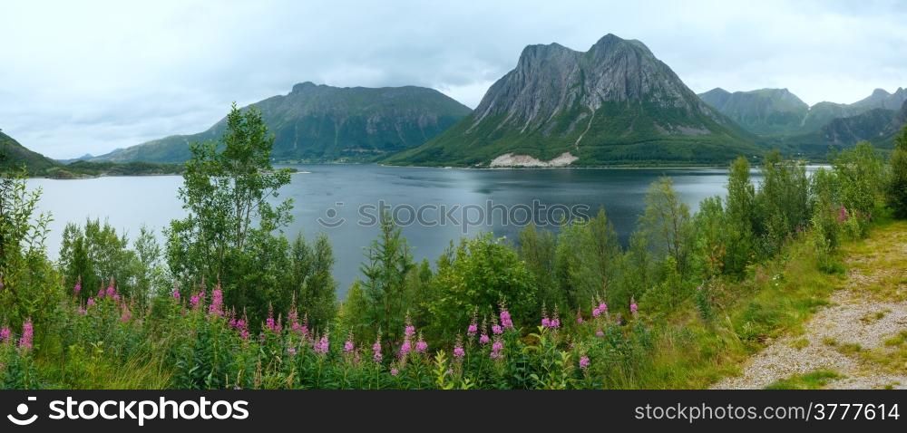 Fjord summer cloudy view with flowers in front (Norway)