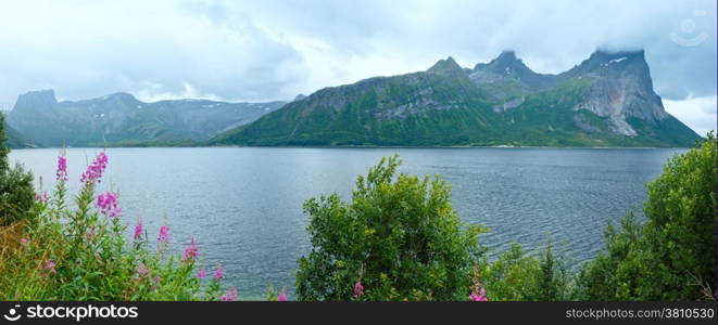 Fjord summer cloudy view with flowers in front (Norway). Panorama.