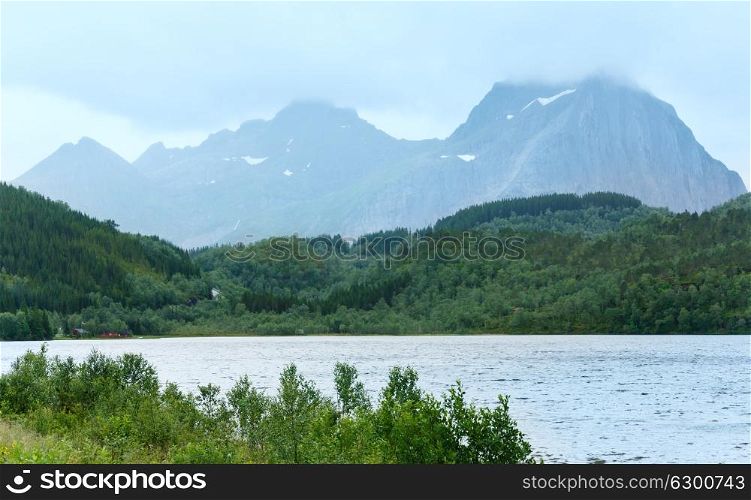 Fjord summer cloudy view with forest on slope (Norway)