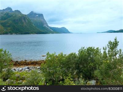 Fjord summer cloudy view with stony beach (Norway)