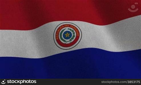 Flag of Paraguay waving in the wind - seamless loop - Endlosschleife