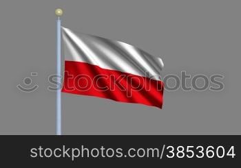 Flag of Poland waving in the wind - highly detailed flag including alpha matte for easy isolation - Flagge Polens im Wind inklusive Alpha Matte