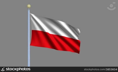 Flag of Poland waving in the wind - highly detailed flag including alpha matte for easy isolation - Flagge Polens im Wind inklusive Alpha Matte