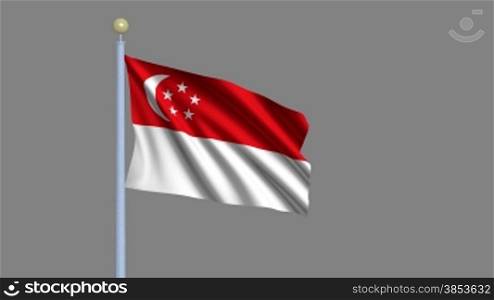 Flag of Singapore waving in the wind - highly detailed flag including alpha matte for easy isolation - Flagge Singapurs im Wind inklusive Alpha Matte