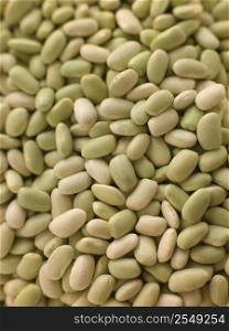 Flagelot beans