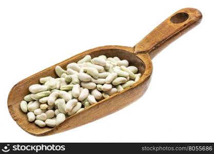 flageolet beans on a rustic wooden scoop, isolated on white