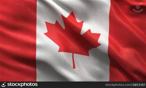 Flagge Kanadas im Wind - Endlosschleife --- Flag of Canada waving in the wind - seamless loop