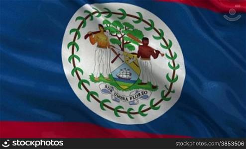 Flagge von Belize im Wind als Endlosschleife