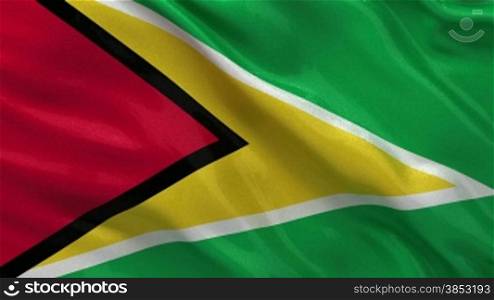Flagge von Guyana im Wind als Endlosschleife