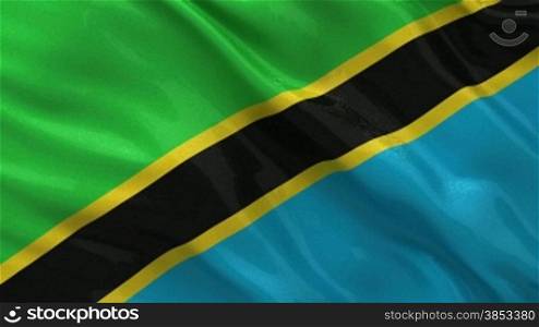 Flagge von Tansania im Wind. Endlosschleife.