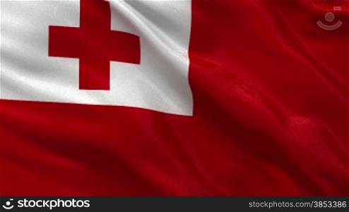 Flagge von Tonga im Wind. Endlosschleife.
