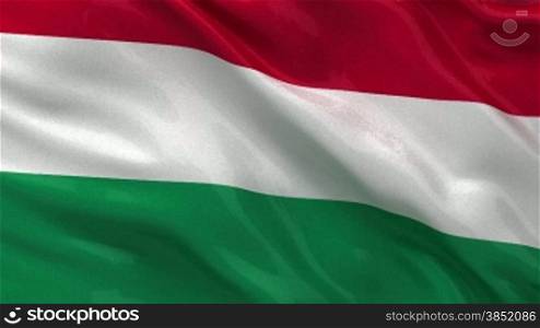 Flagge von Ungarn im Wind als Endlosschleife