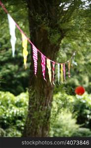 Flags hanging from a tree
