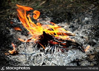 Flames fire on the background of green grass