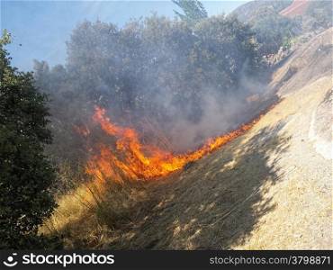 Flames of Fire in a summer field