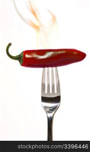 Flaming hot red chili pepper on a fork on a white background.