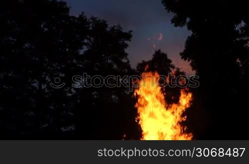 Flammen eines Lagerfeuers lodern hoch in den Himmel zur spaten Dammerung