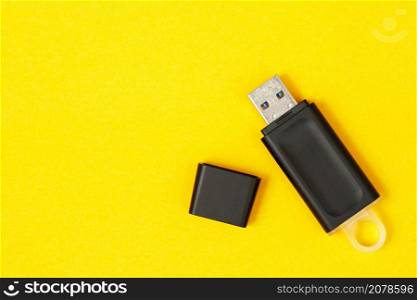 Flash drives are the cause of computer viruses.