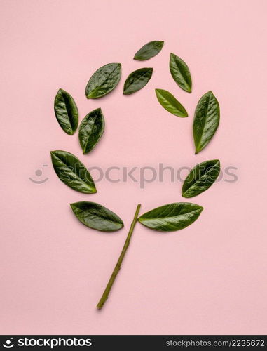 flat lay arrangement green leaves