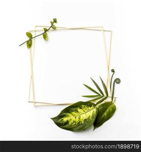 flat lay arrangement green leaves with empty frames. Resolution and high quality beautiful photo. flat lay arrangement green leaves with empty frames. High quality beautiful photo concept
