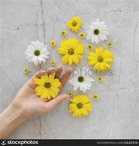 flat lay assortment optimism concept with flowers