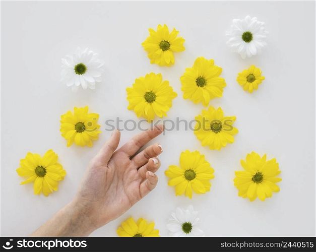 flat lay assortment optimism concept with flowers 3