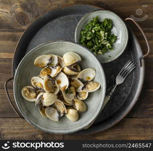 flat lay bowl with shells arrangement