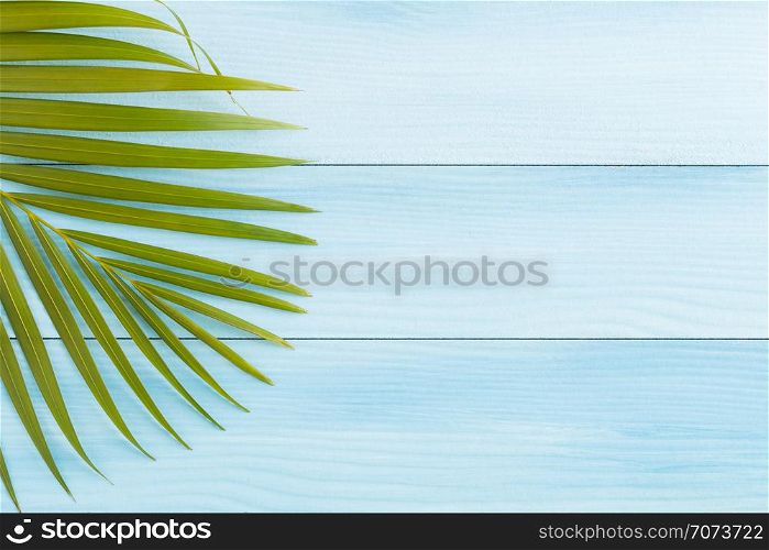 Flat lay coconut leaves on blue wooden floor, top view and copy space, summer concept