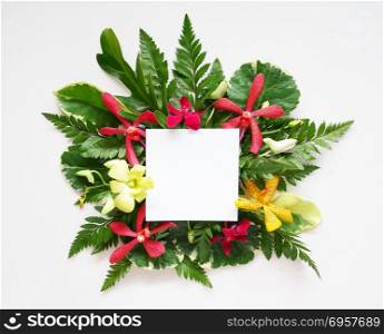 Flat lay colorful orchid flowers and green leaves frame and copy space card note.. Flat lay colorful floral frame